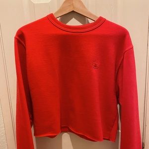 cropped champion hoodie